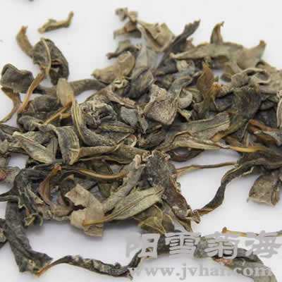 罗布麻茶茶叶
