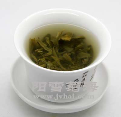 冲泡好的罗布麻茶 汤色晶莹剔透 略带黄色