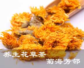 养生花草茶-菊海芳邻