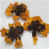 克里阳顶级昆仑雪菊批发500克装_阳雪菊海